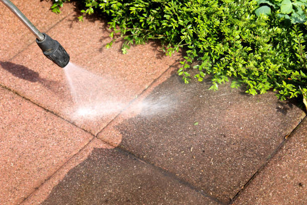 Best Affordable Pressure Washing  in Tulare, CA